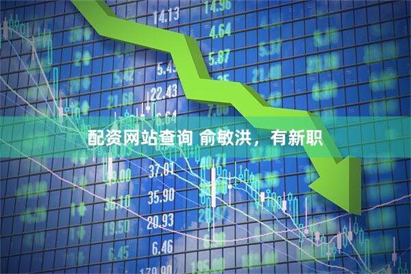 配资网站查询 俞敏洪，有新职