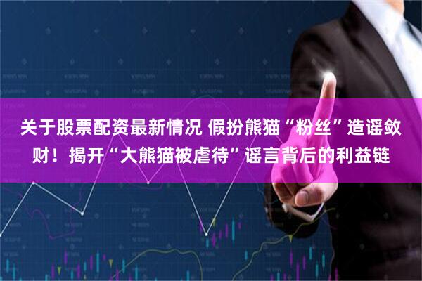 关于股票配资最新情况 假扮熊猫“粉丝”造谣敛财！揭开“大熊猫被虐待”谣言背后的利益链
